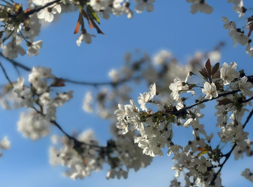 Screenshot 2026-04-14 133823.jpg