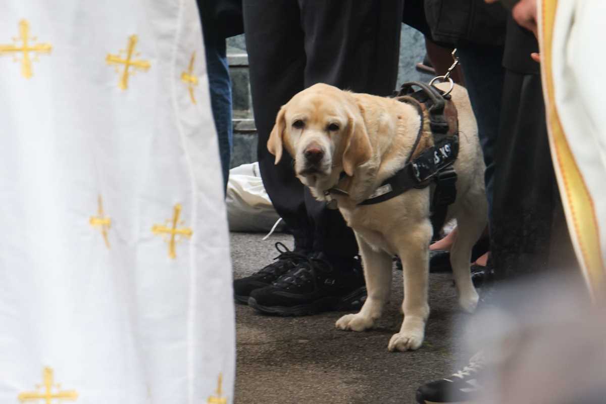 WhatsApp Image 2026-04-14 at 13.58.52.jpeg