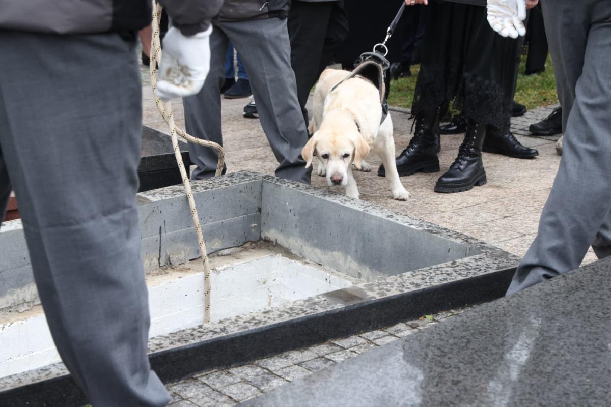 WhatsApp Image 2026-04-14 at 14.49.13 (3).jpeg