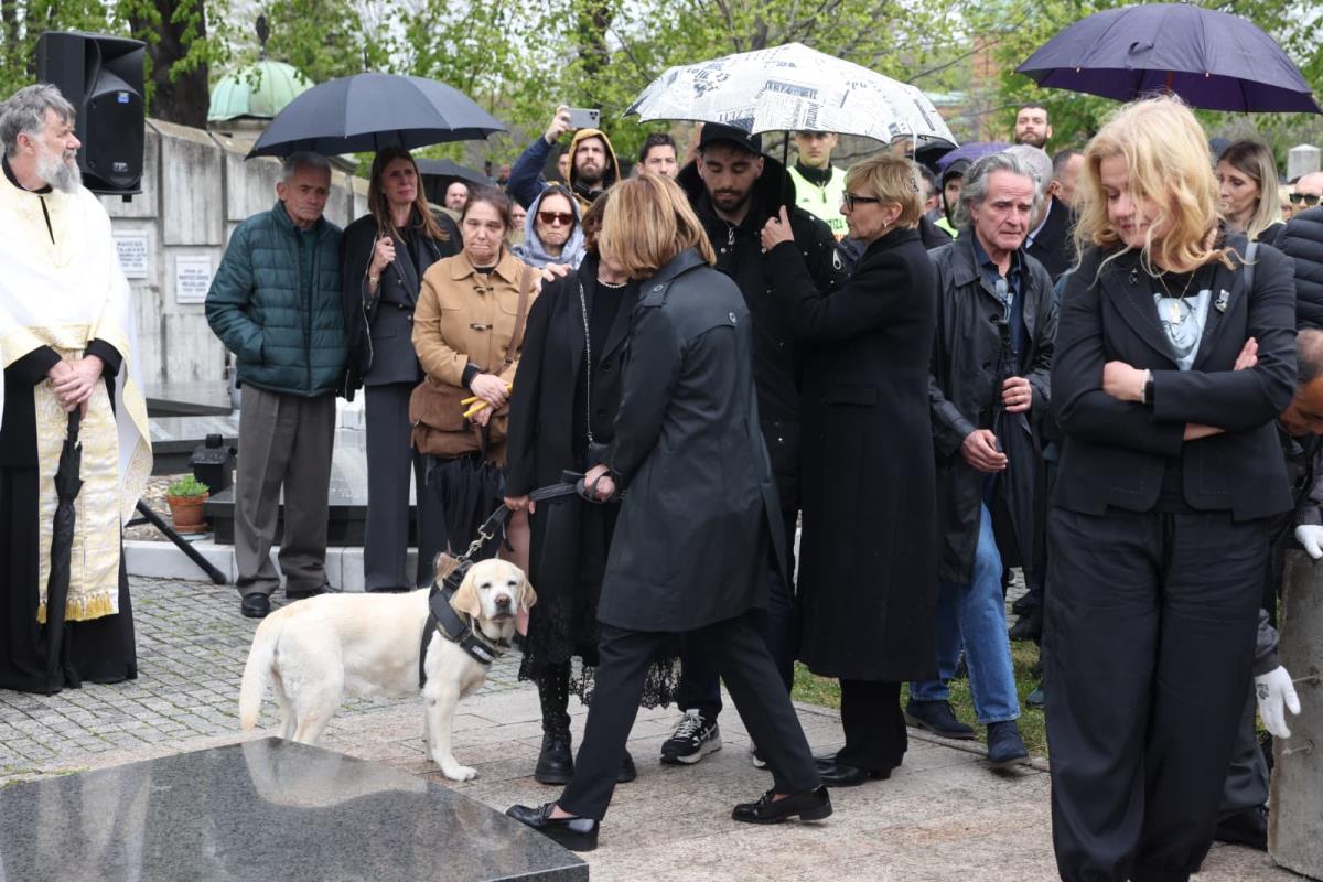 WhatsApp Image 2026-04-14 at 14.49.13 (2).jpeg