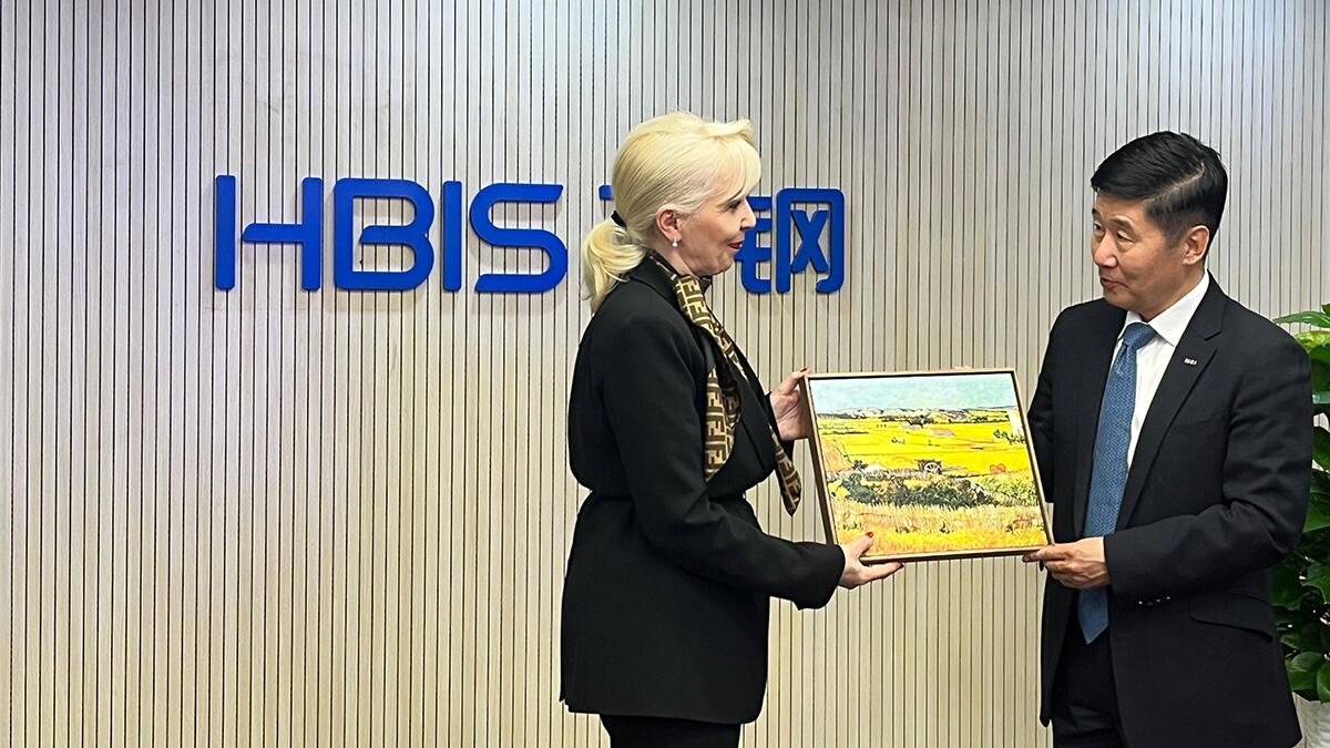 HBIS krupno.jpg