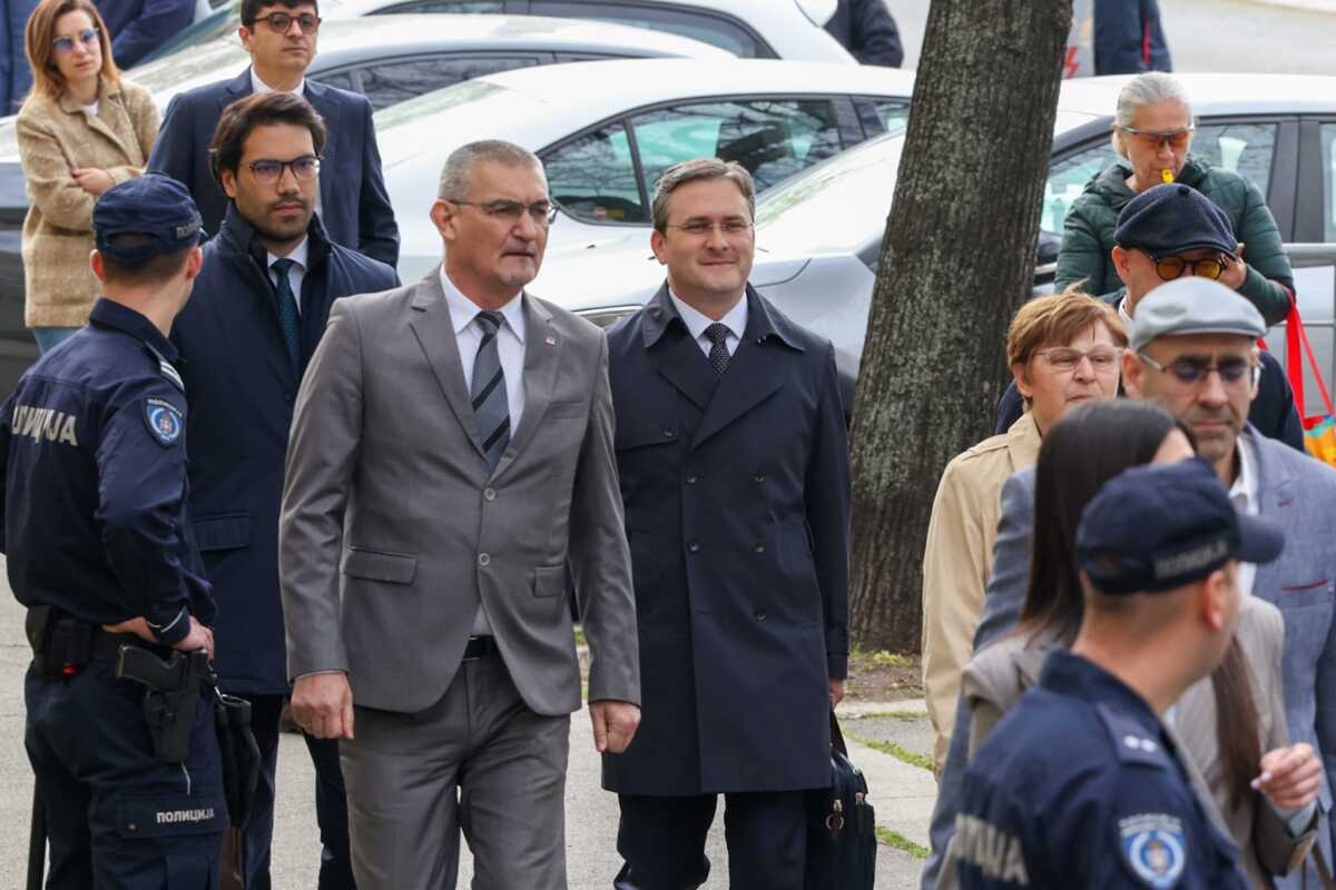 Nikola Selaković (4).jpeg