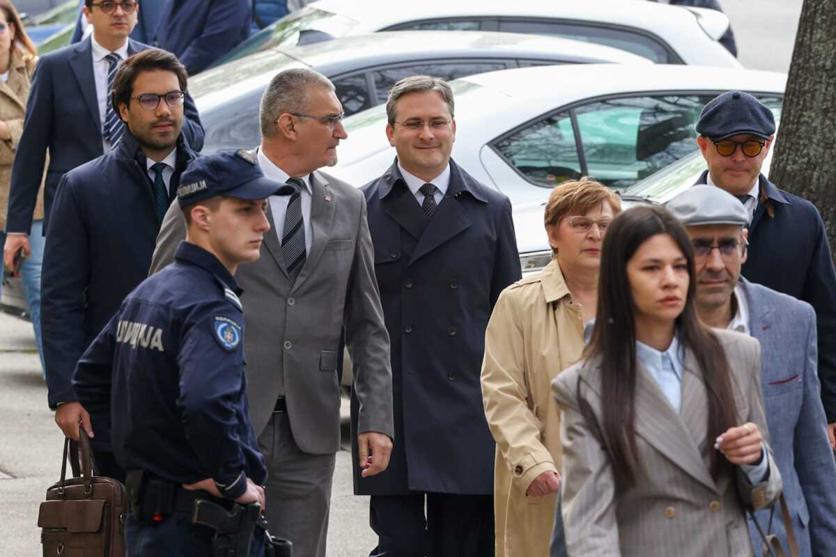 Nikola Selaković (2).jpeg