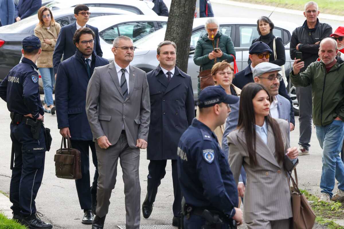 Nikola Selaković (1).jpeg