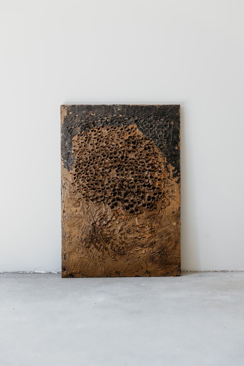 Djapovic -Ana- SOIL-Dig 3,45x65cm.jpg