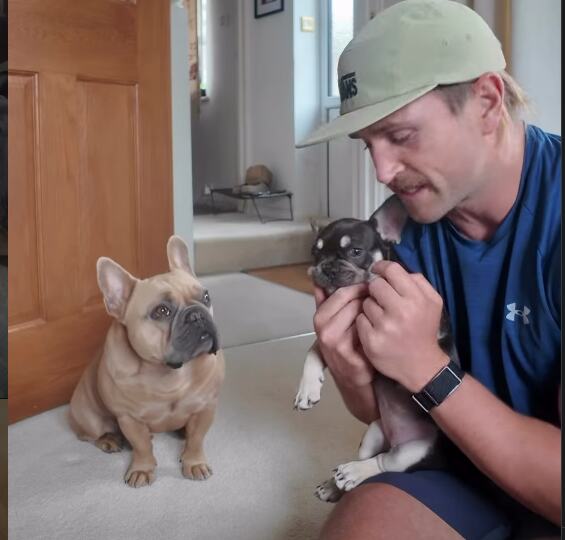 Screenshot 2026-04-15 150014.png