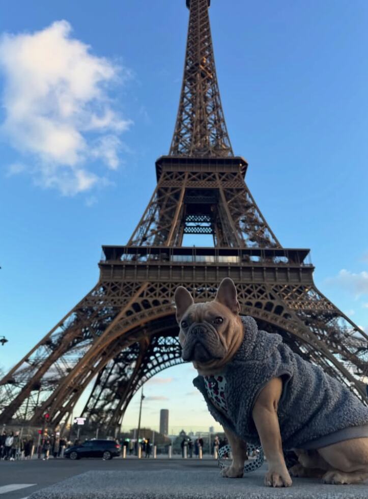 Screenshot 2026-04-15 150047.png