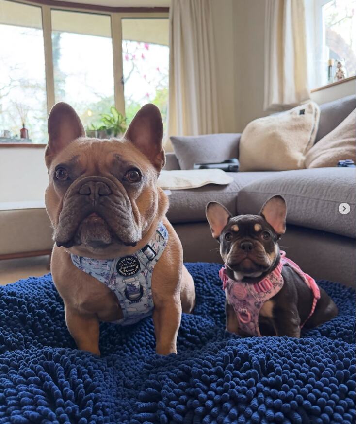 Screenshot 2026-04-15 150137.png