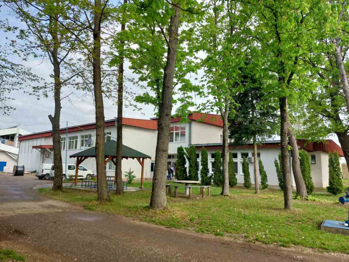 Radovi u Sremskoj Mitrovici uveliko traju