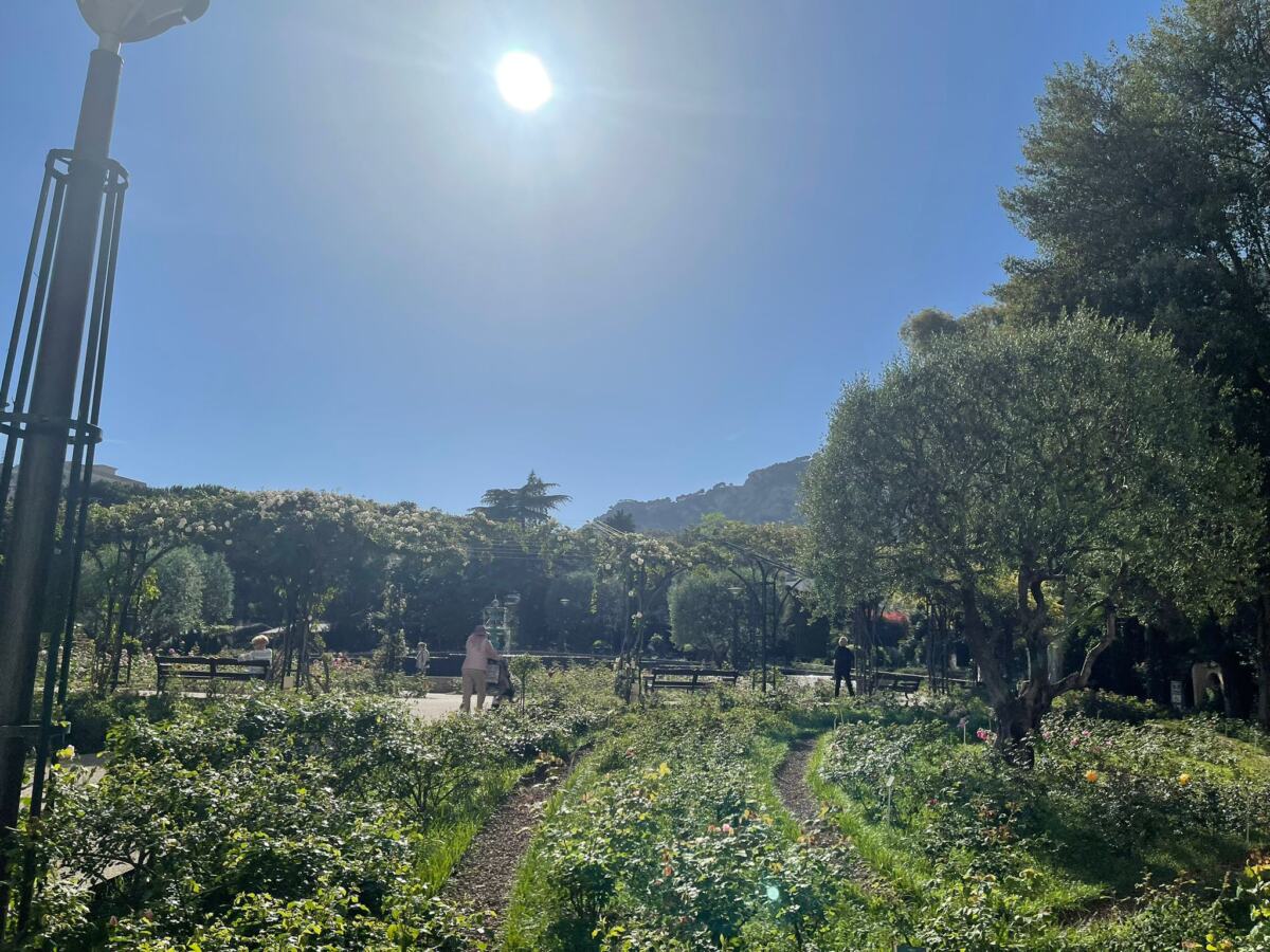 WhatsApp Image 2026-04-17 at 00.13.07 (1).jpeg