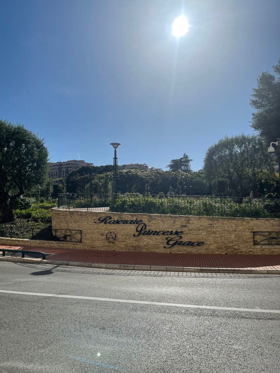 WhatsApp Image 2026-04-17 at 00.13.07 (3).jpeg