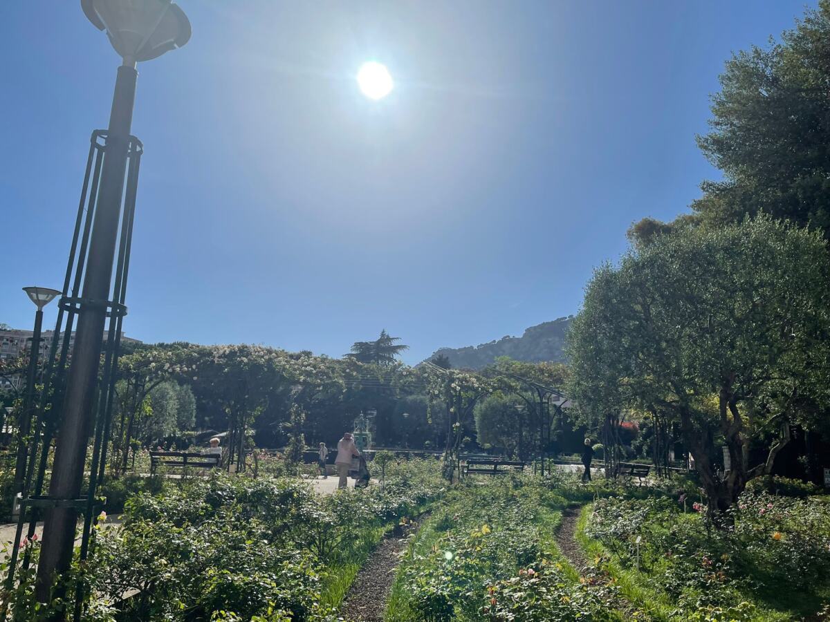 WhatsApp Image 2026-04-17 at 00.13.07.jpeg