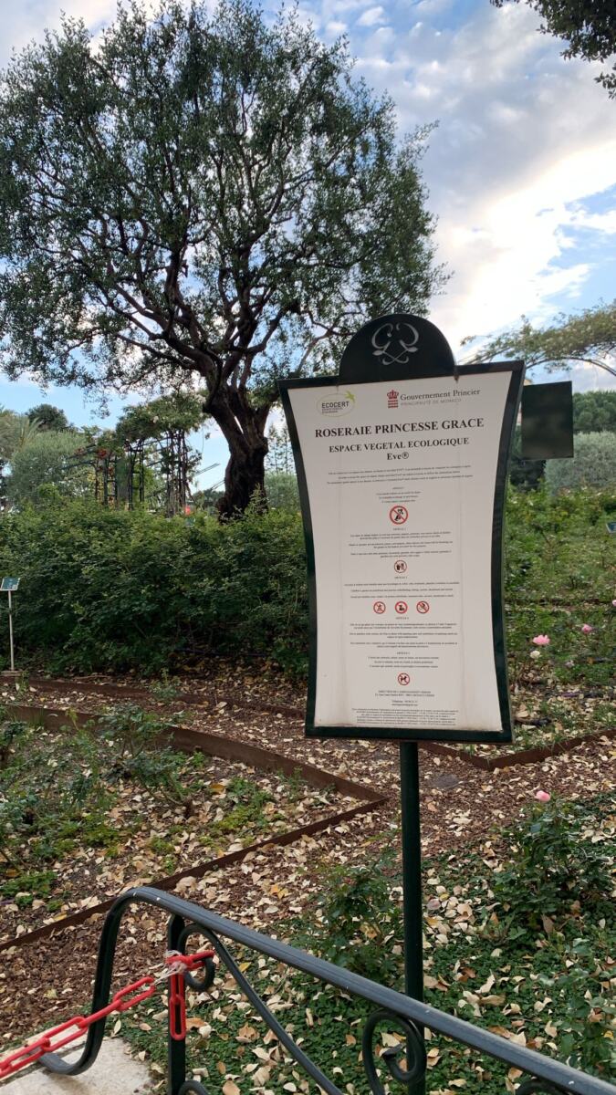 WhatsApp Image 2026-04-17 at 00.13.08 (1).jpeg