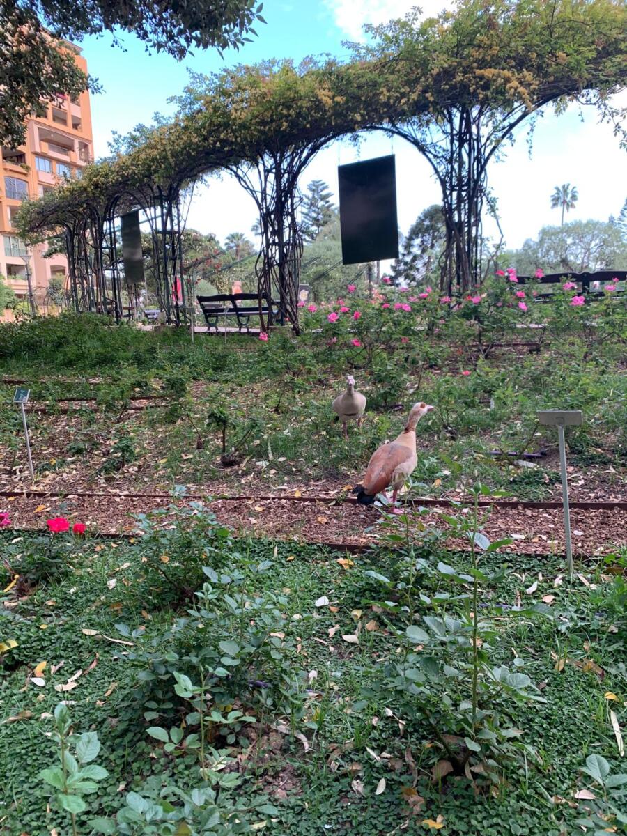 WhatsApp Image 2026-04-17 at 00.13.08.jpeg