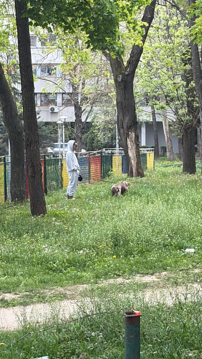 Marija Bulat Marko Bulat.jpeg