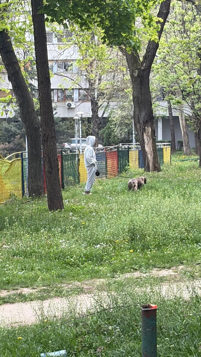 Marija Bulat Marko Bulat (2).jpeg