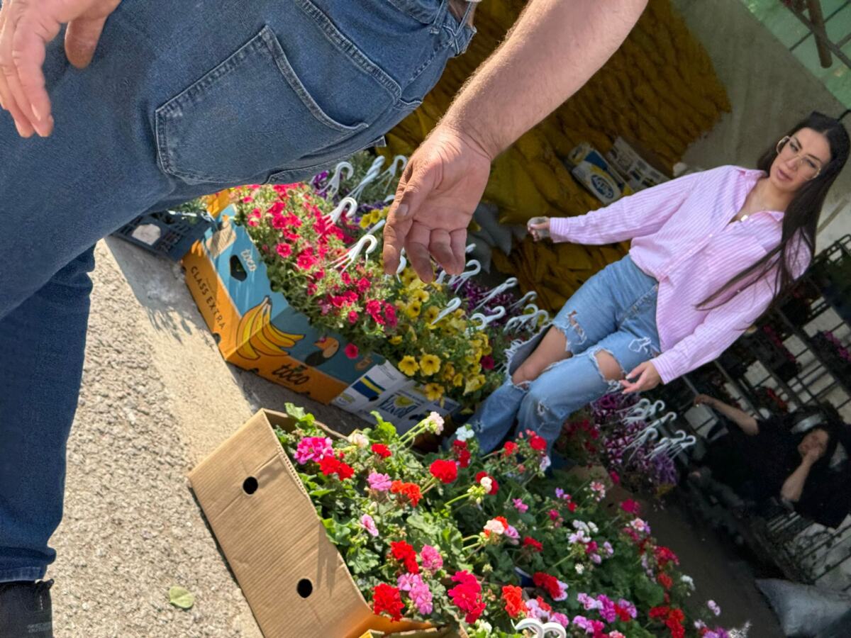 WhatsApp Image 2026-04-17 at 16.20.56 (1).jpeg