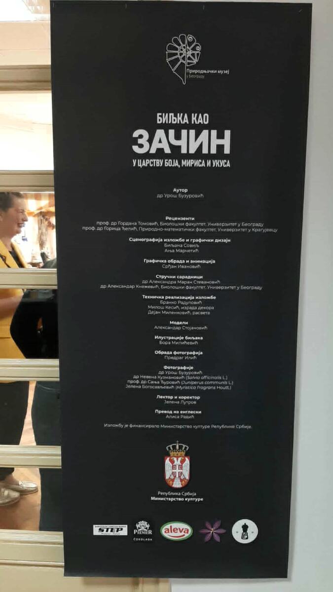 LOZNICA - Putujuća izložba.jpg