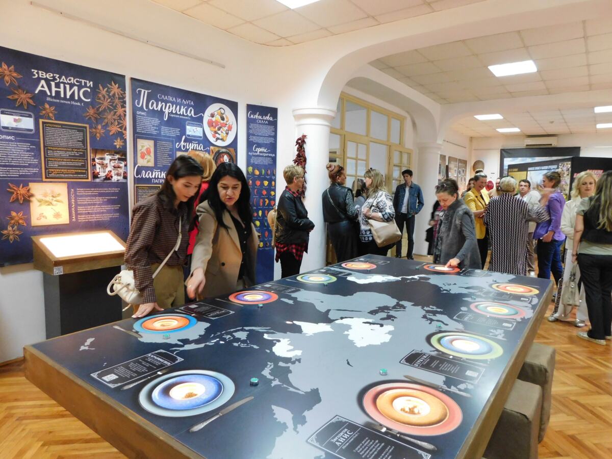 LOZNICA - Mapa začina.jpg