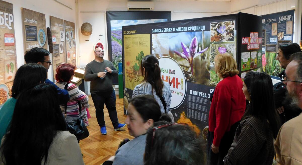 LOZNICA - Priča o začinima.jpg