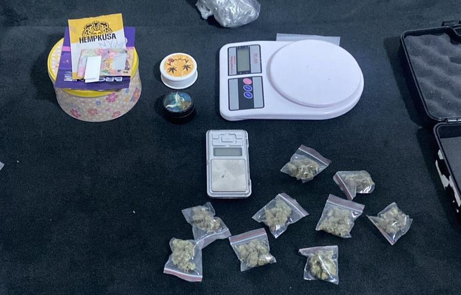 Hapšenje i zaplena oružja i narkotika