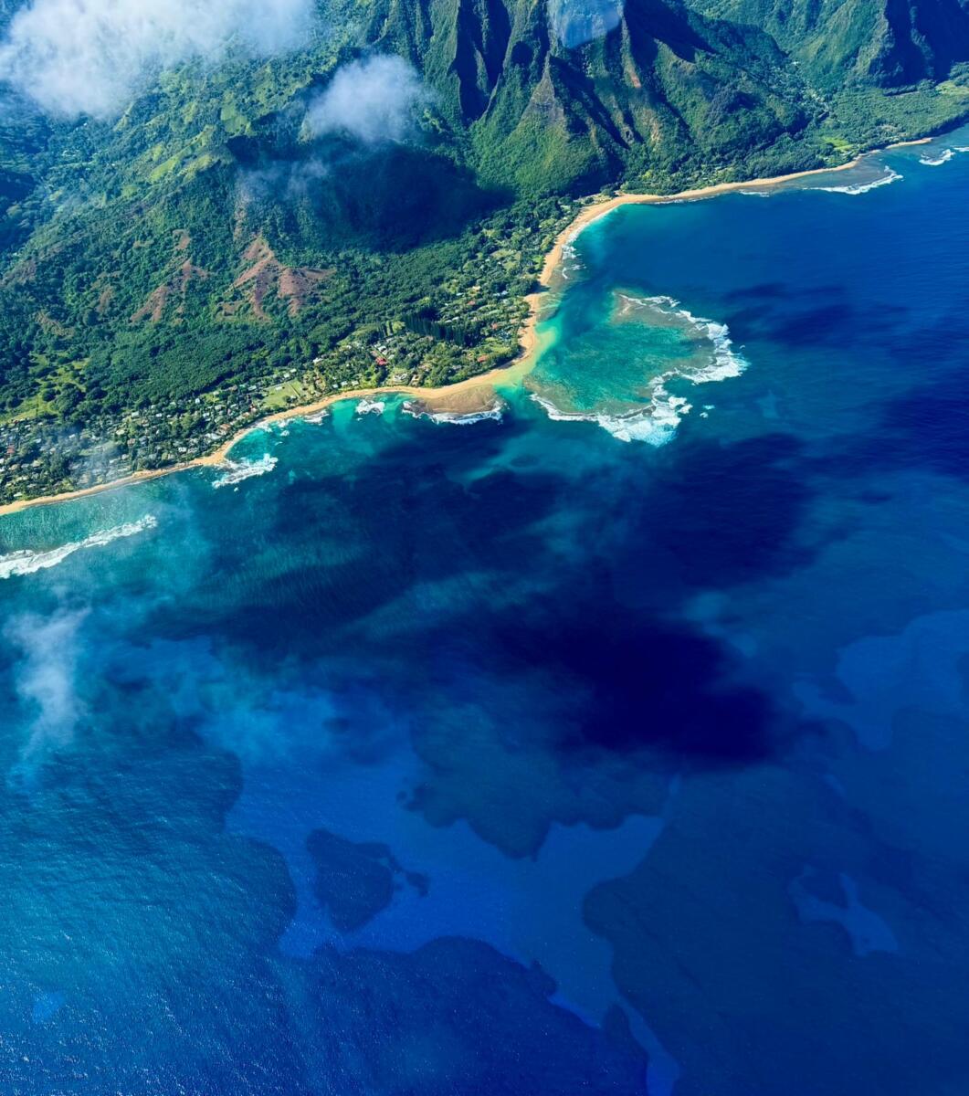 Ruža Milivojević (12).jpg