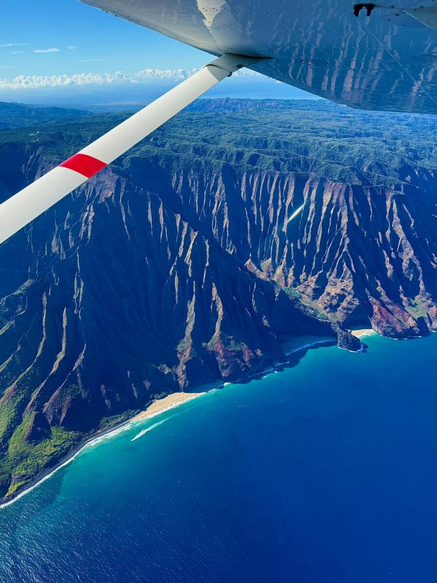 Ruža Milivojević (13).jpg