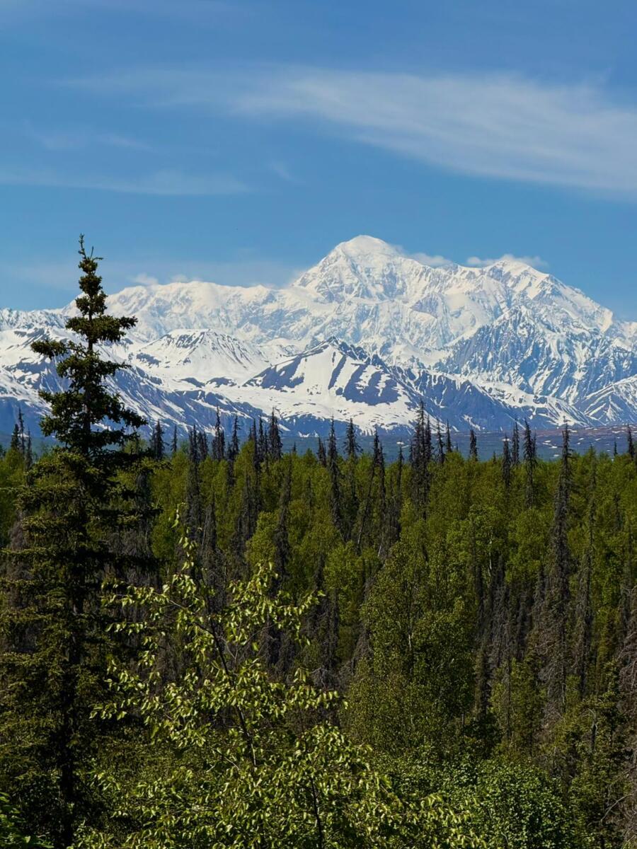 Ruža Milivojević (21).jpg