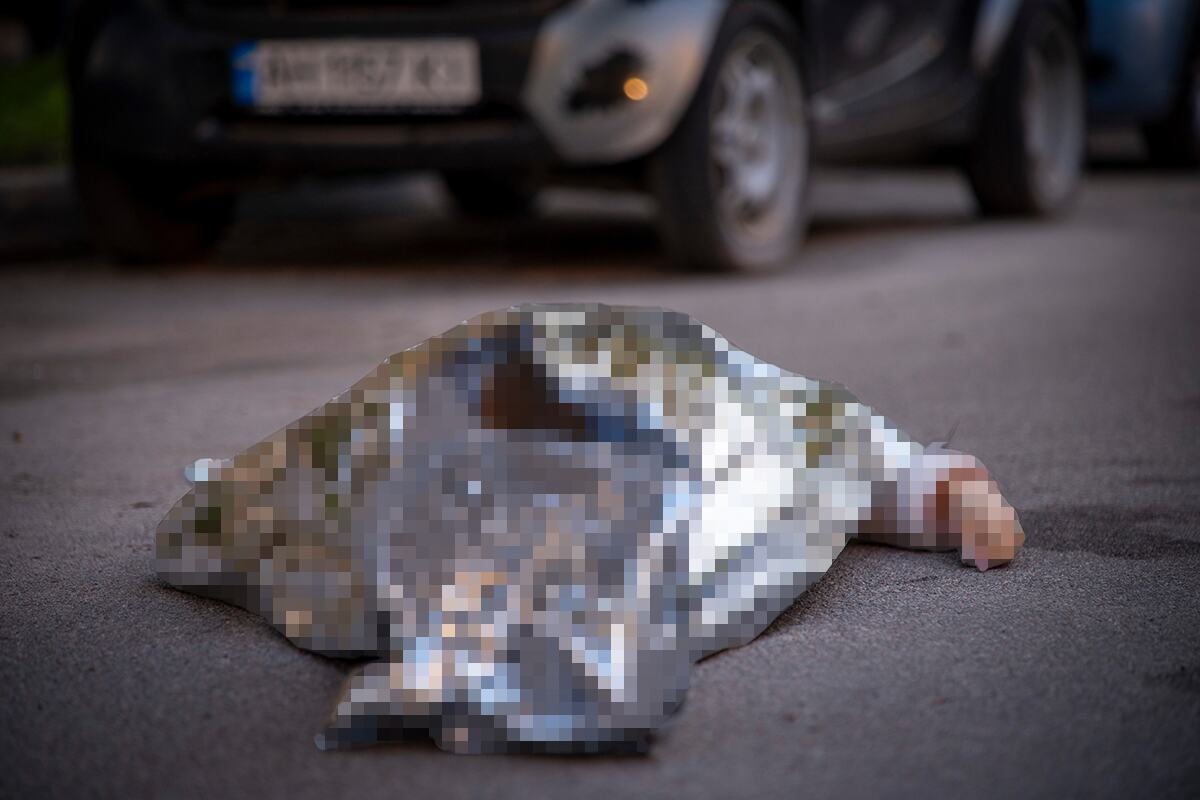 Kijev, napad, pucnjava