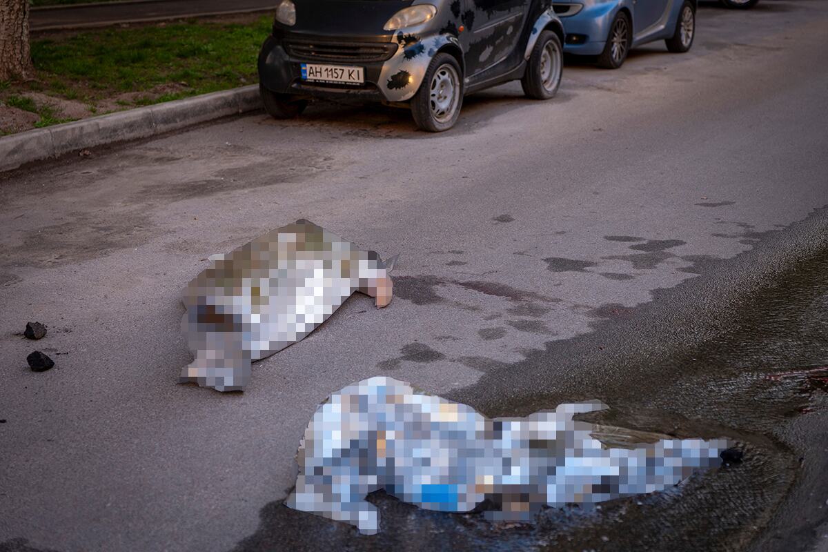 Kijev, napad, pucnjava