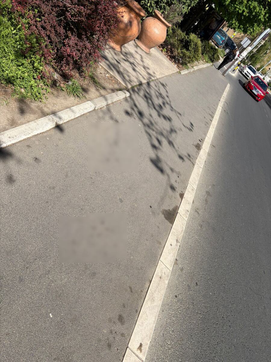 WhatsApp Image 2026-04-19 at 10.02.39 copy.jpg