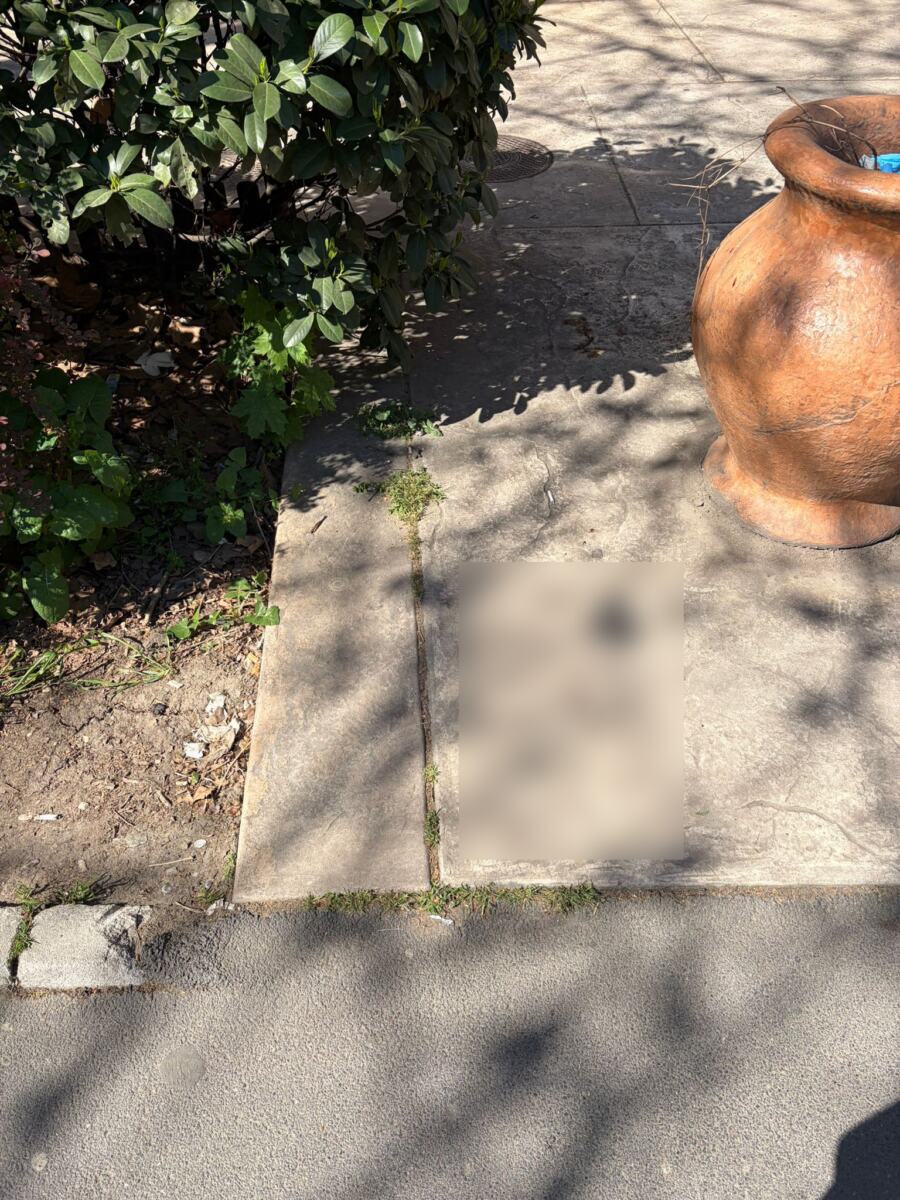 WhatsApp Image 2026-04-19 at 10.02.38 copy.jpg