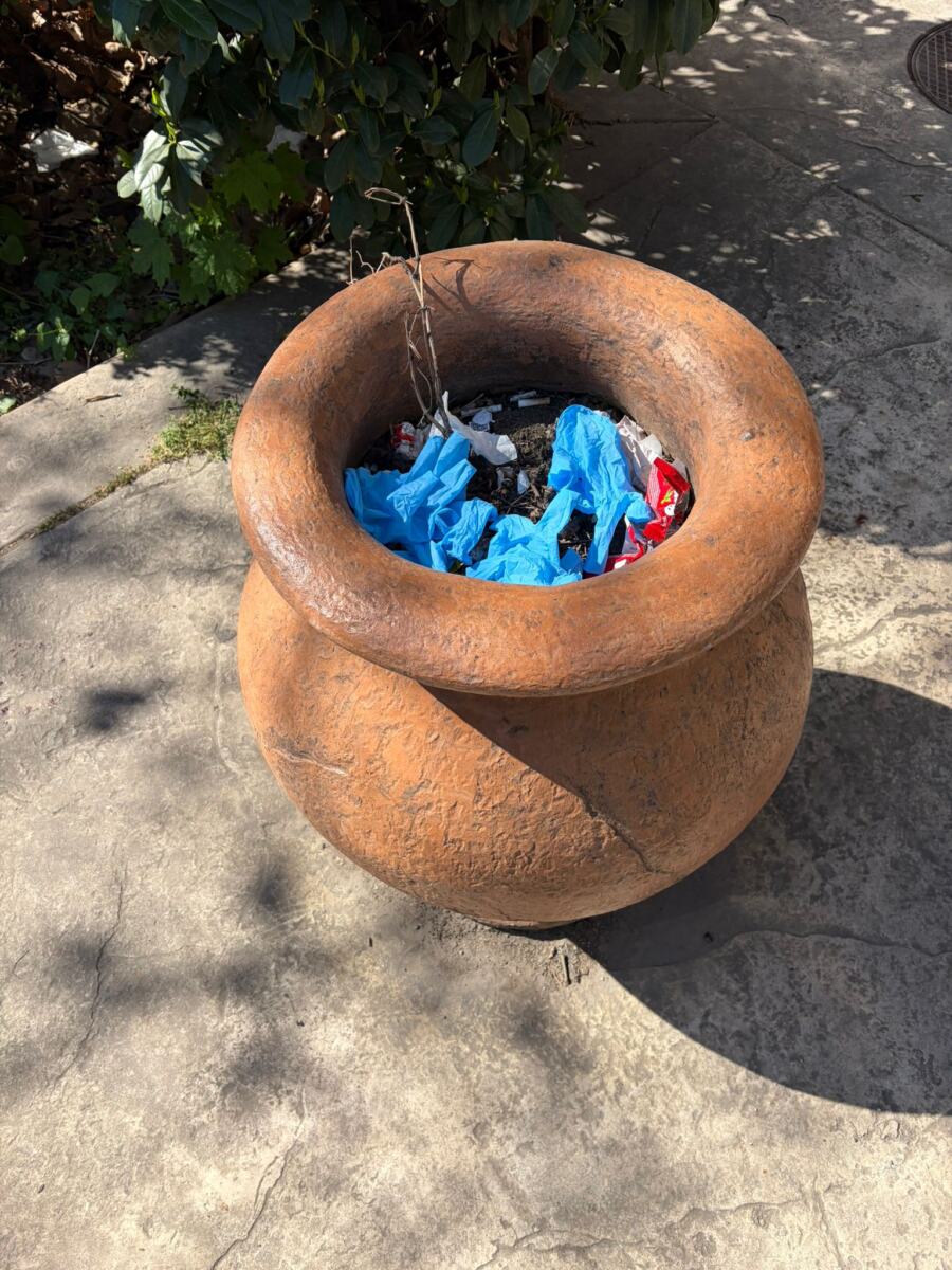 WhatsApp Image 2026-04-19 at 10.02.37 (3).jpeg