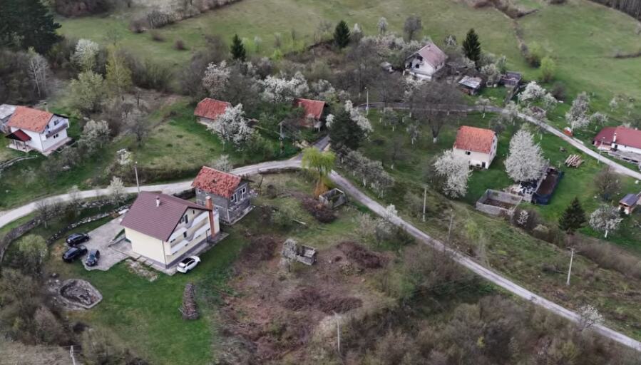 pero jurčević 6.jpg