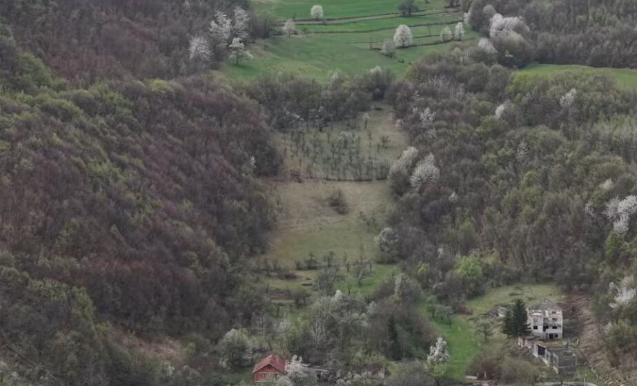 pero jurčević 3.jpg