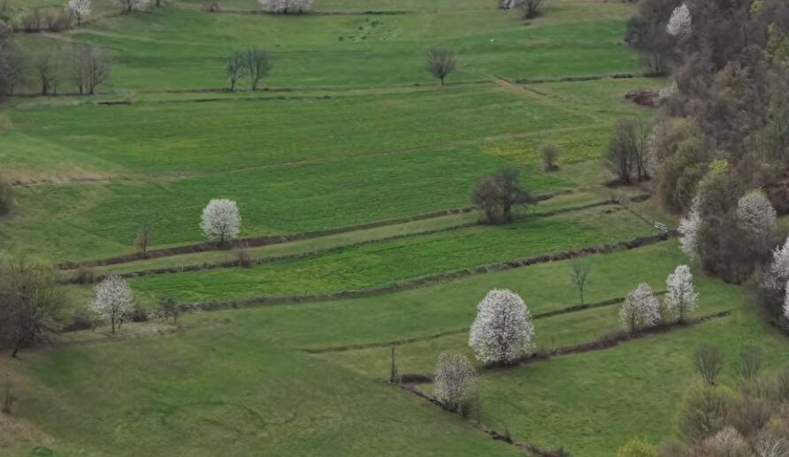 pero jurčević 2.jpg