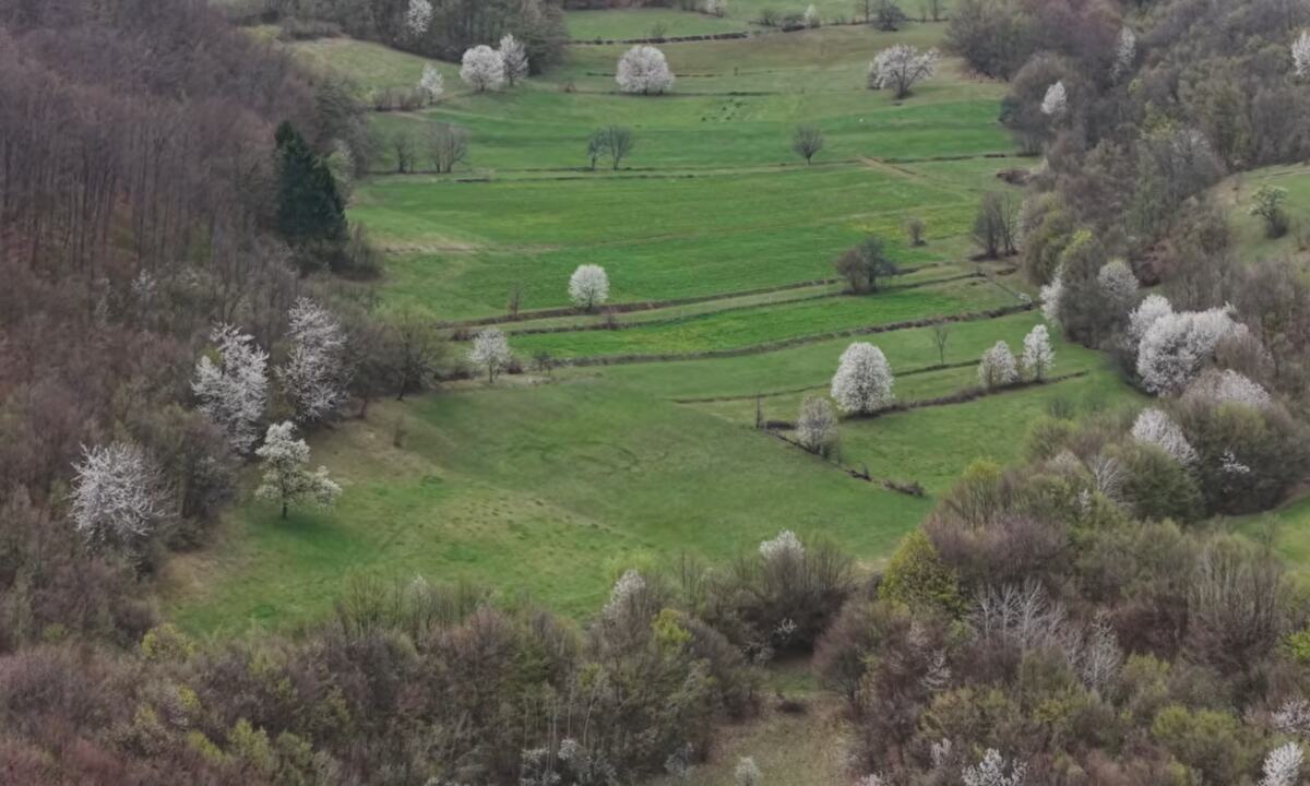 Screenshot 2026-04-19 210151.png