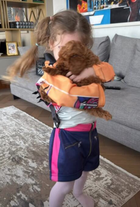 Screenshot 2026-04-19 224803.png