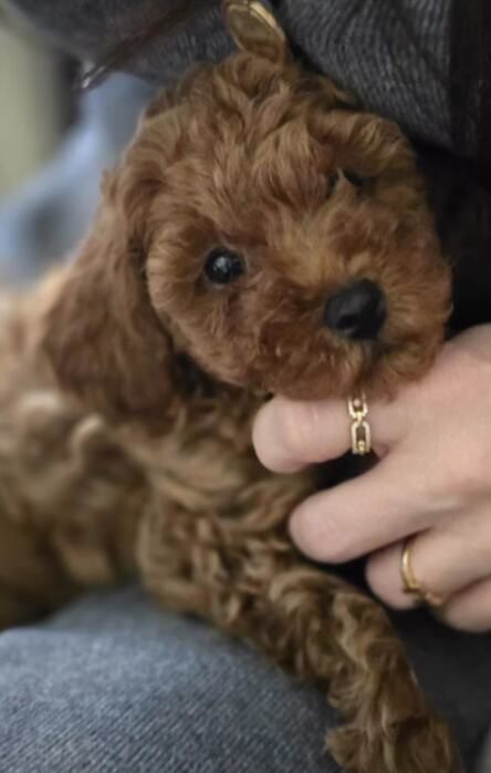 Screenshot 2026-04-19 224808.png