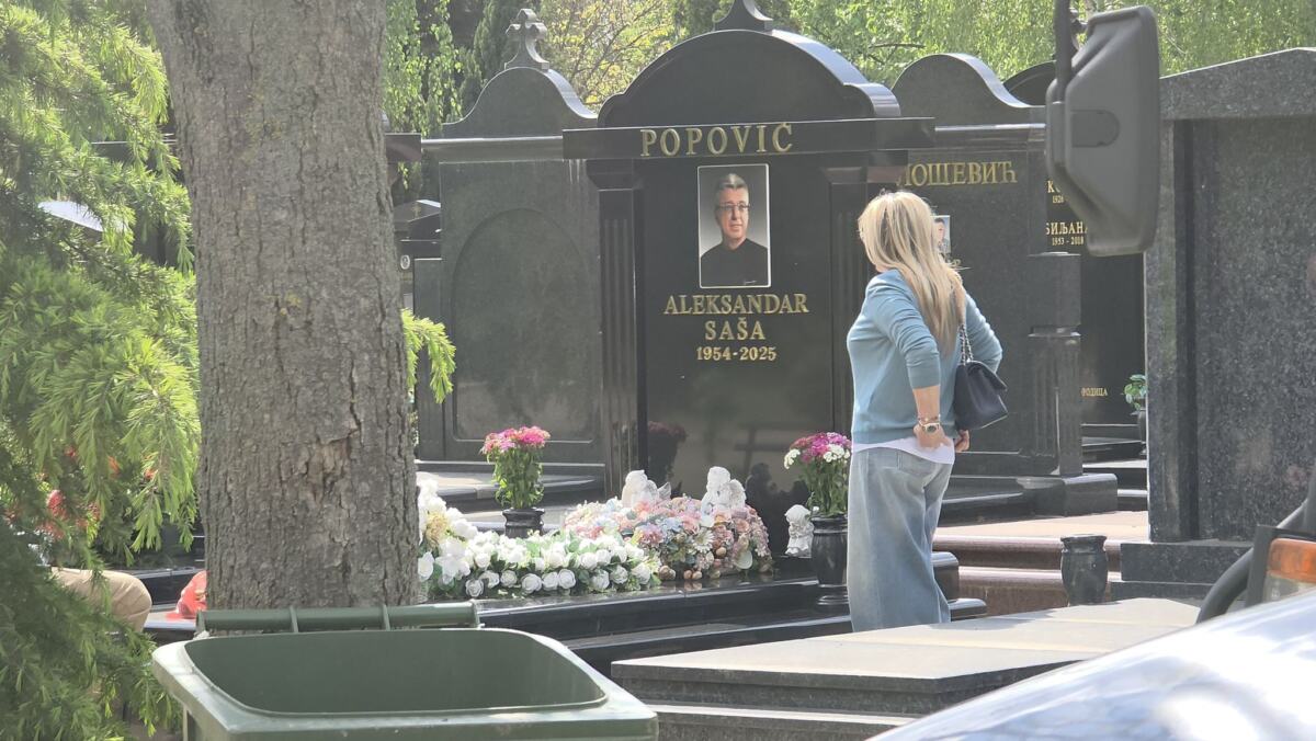 WhatsApp Image 2026-04-20 at 14.29.35 (1).jpeg