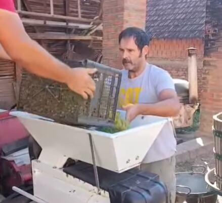 kubura pravi vino.PNG