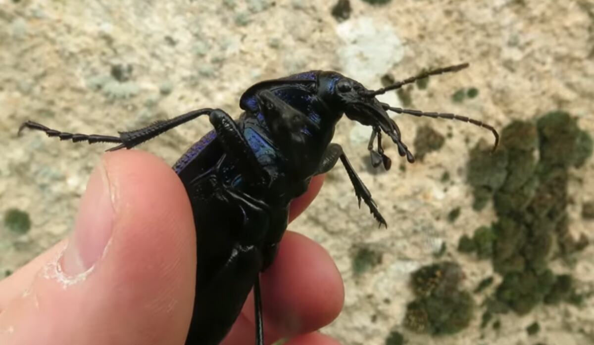 Screenshot 2026-04-21 140112.png