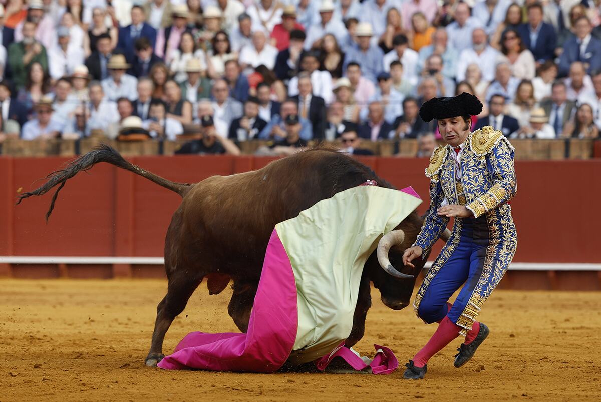 matador Španija (8).jpg