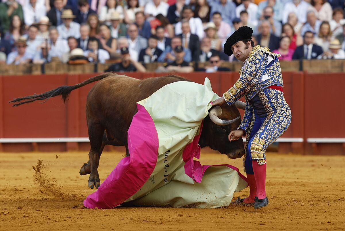 matador Španija (5).jpg