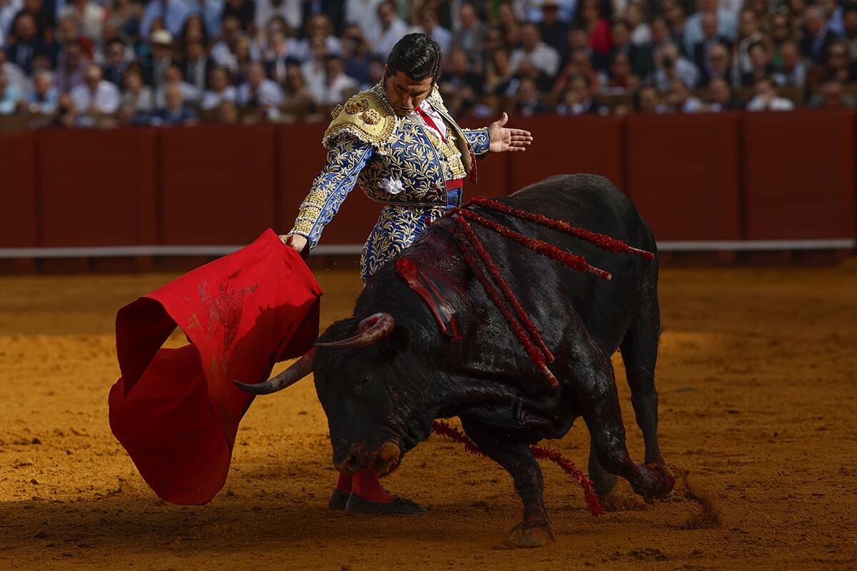 matador Španija (4).jpg