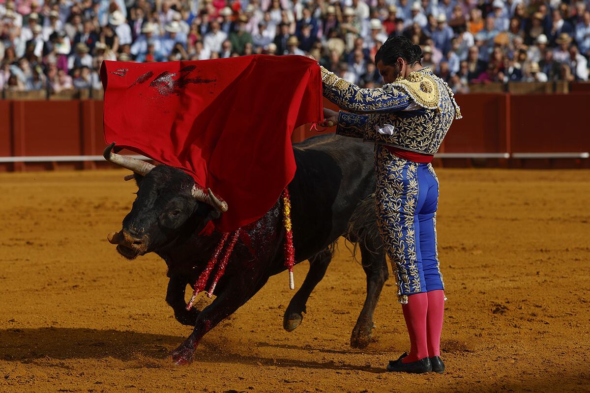 matador Španija (2).jpg