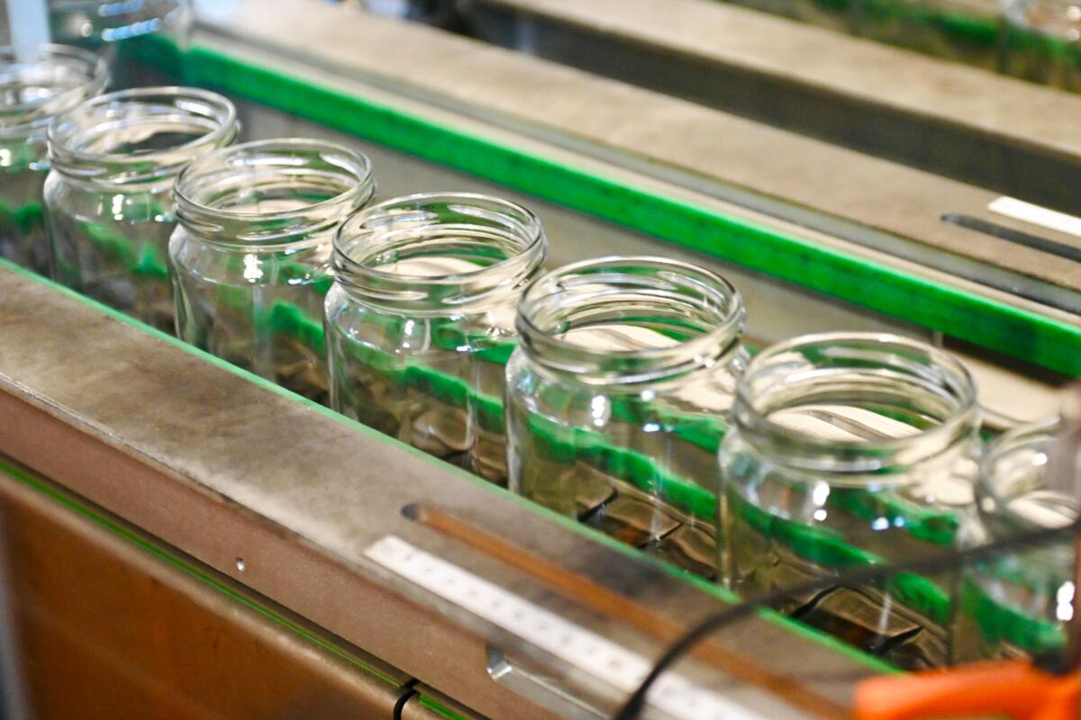 Aleksandar Vučić Paraćin otvaranje pogona fabrika stakla Vaider (9).jpeg