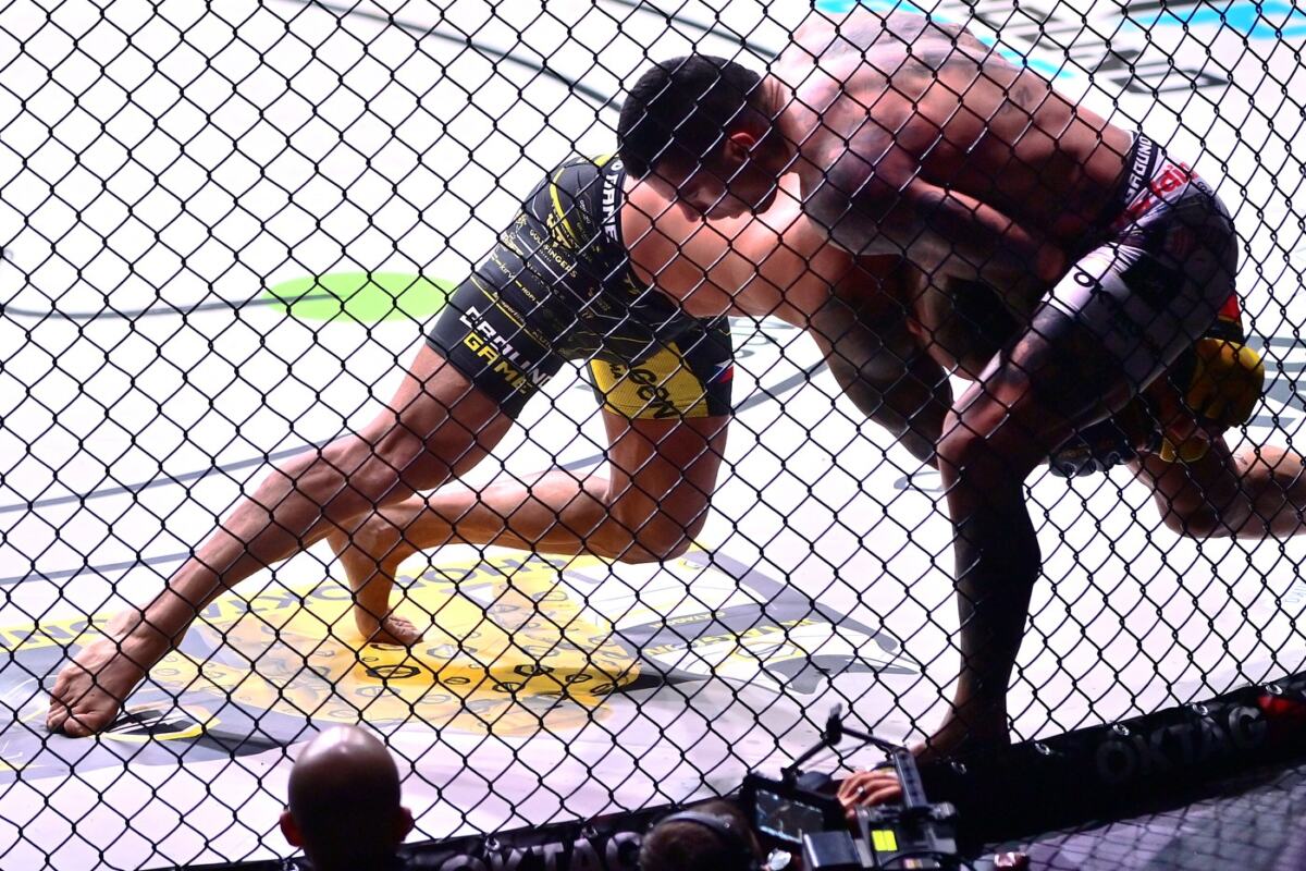 Aleksandar Džoker Ilić