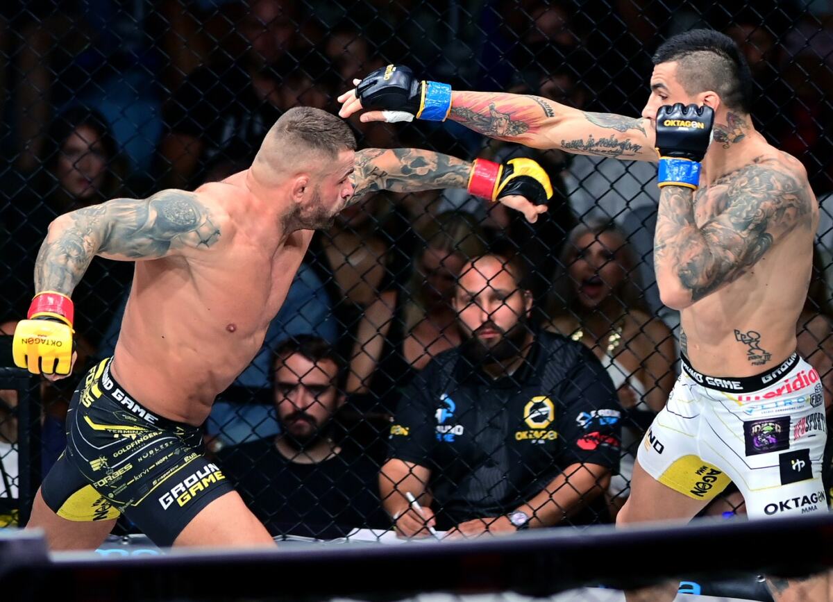 Aleksandar Džoker Ilić