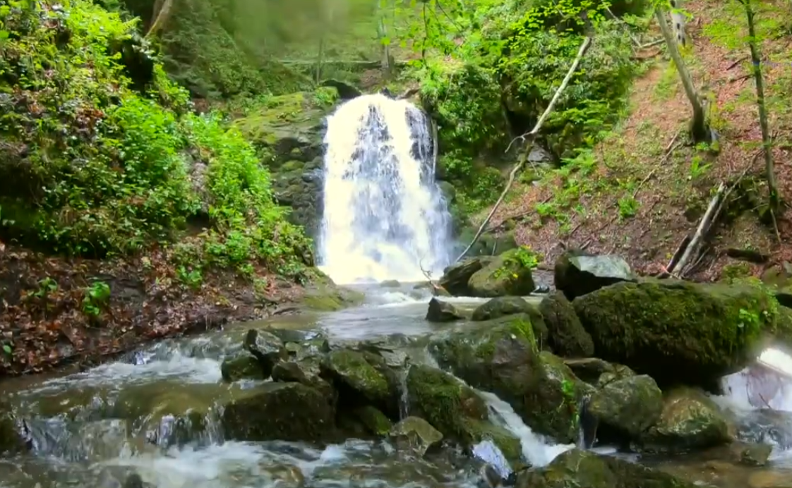 Ivanjica (4).png